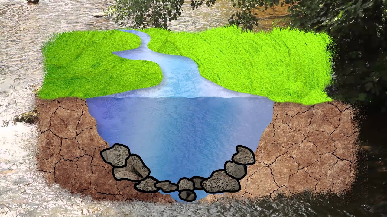 CAP. 2. ¿QUÉ ES “LIMPIAR” UN RÍO?
