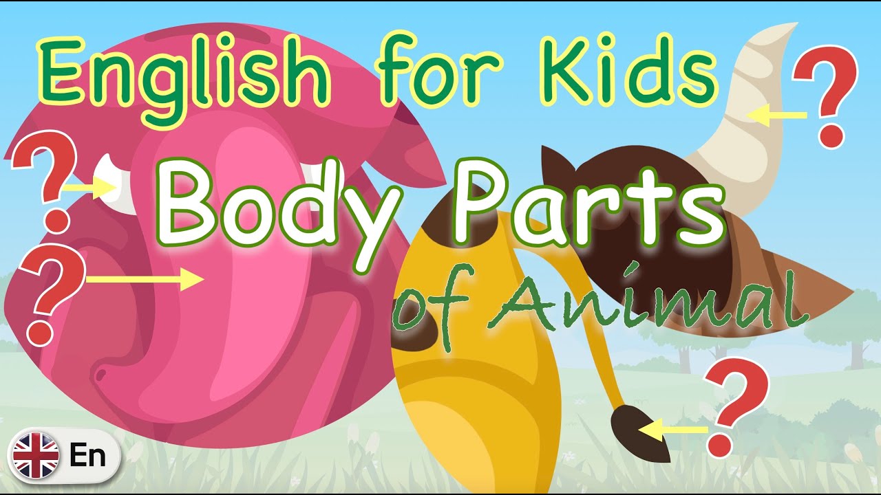 Body parts of Animal ( Part 1) | English for Kids (UK) | Kids English
