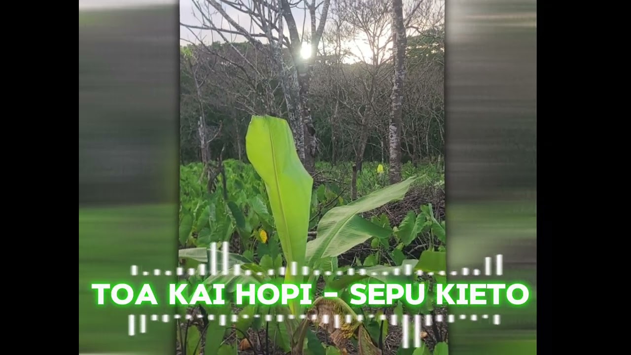 Toa Kai Hopi ( Country Rock Reggae Cover) - Sepu Kieto