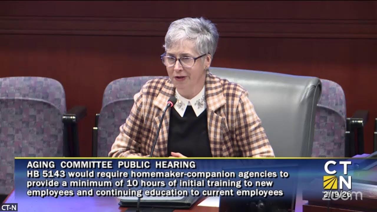 Aging Committee Public Hearing 2/19
