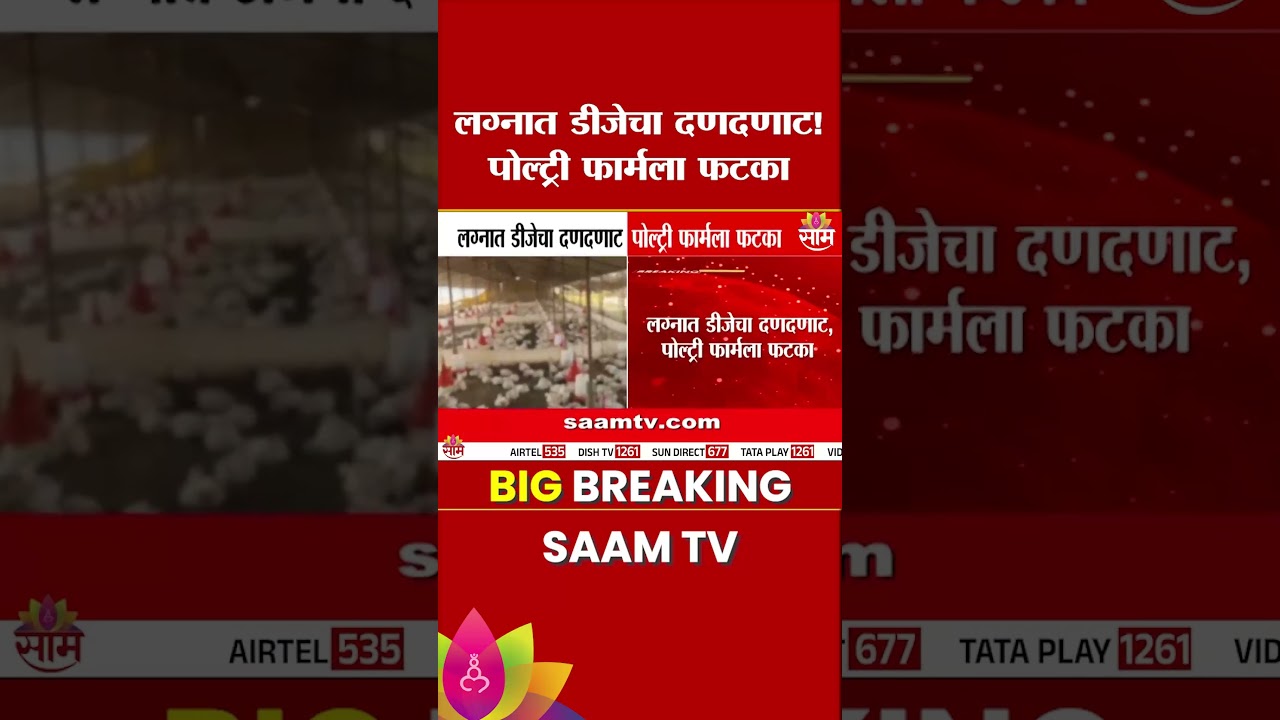 डीजेच्या कर्णकर्कश आवाजामुळे पोल्ट्री फार्ममधील कोंबड्यांचा मृत्यू  | DJ Noise Pollution