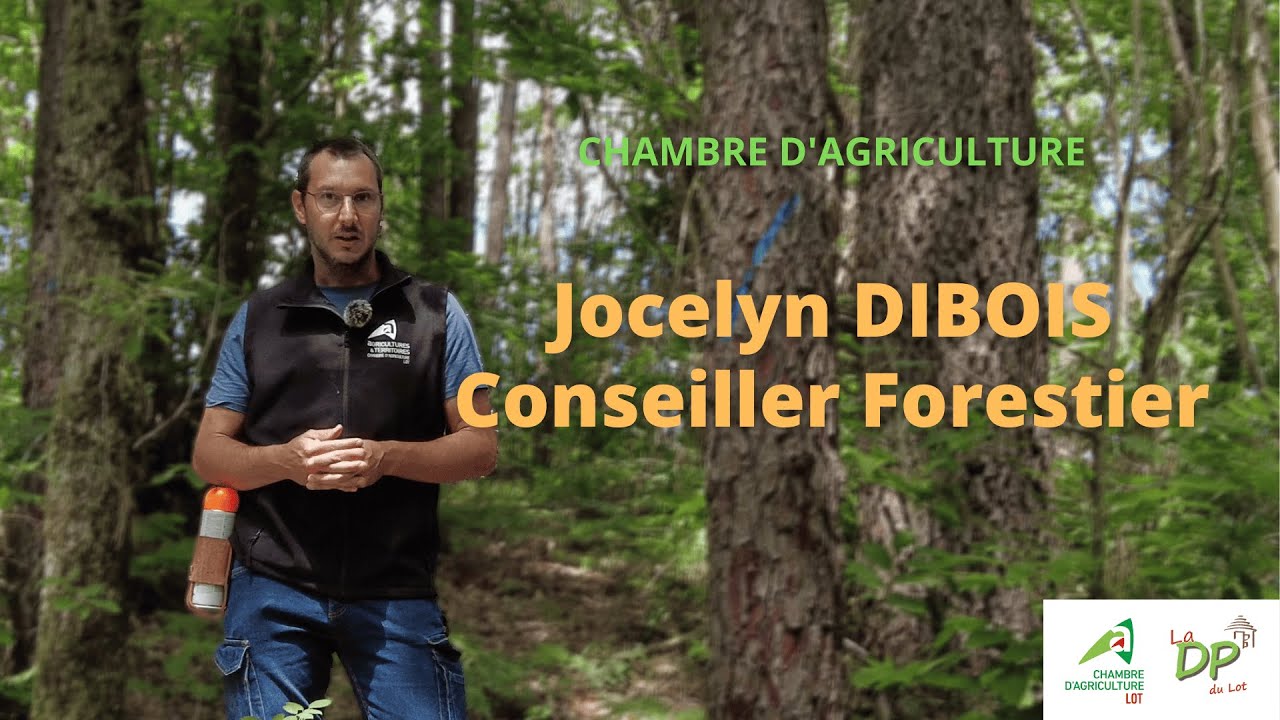 À la découverte de nos Forêts : Le rôle de notre Conseiller Forestier Jocelyn DIBOIS