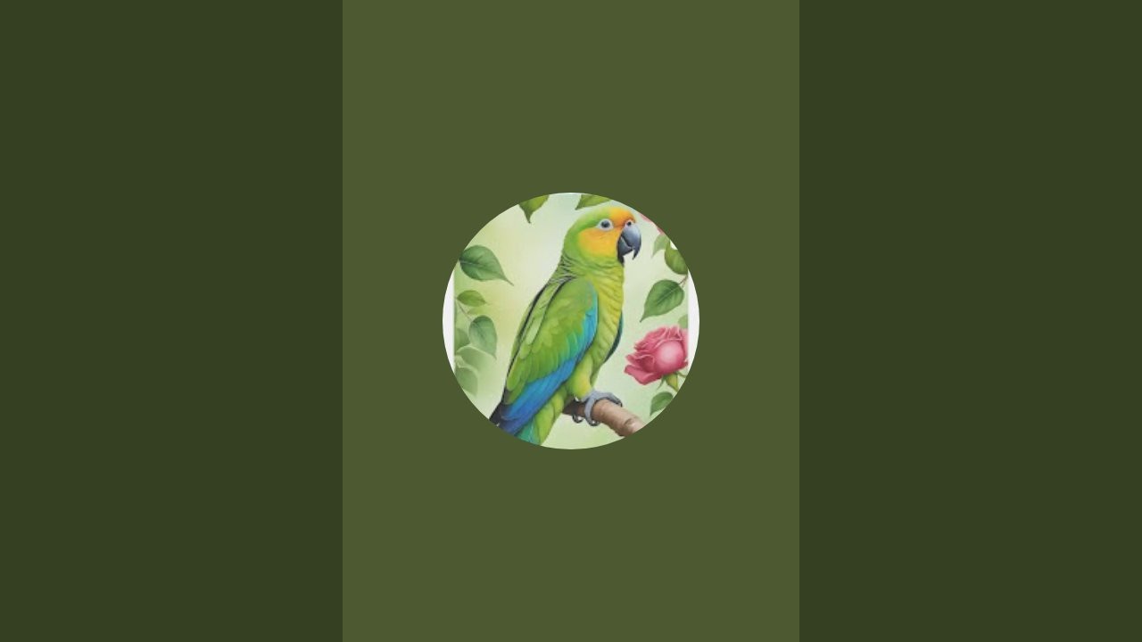 parrot001 is live