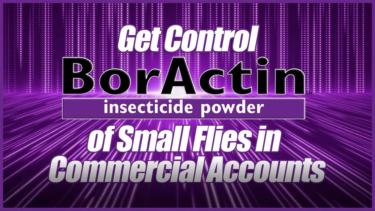 BorActin: Get Control of Small Flies In Commercial Accounts