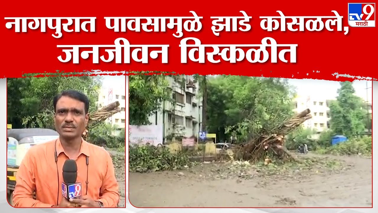 Nagpur Panchshil Chowk Flood | नागपुरात पावसामुळे झाडे कोसळले,जनजीवन विस्कळीत