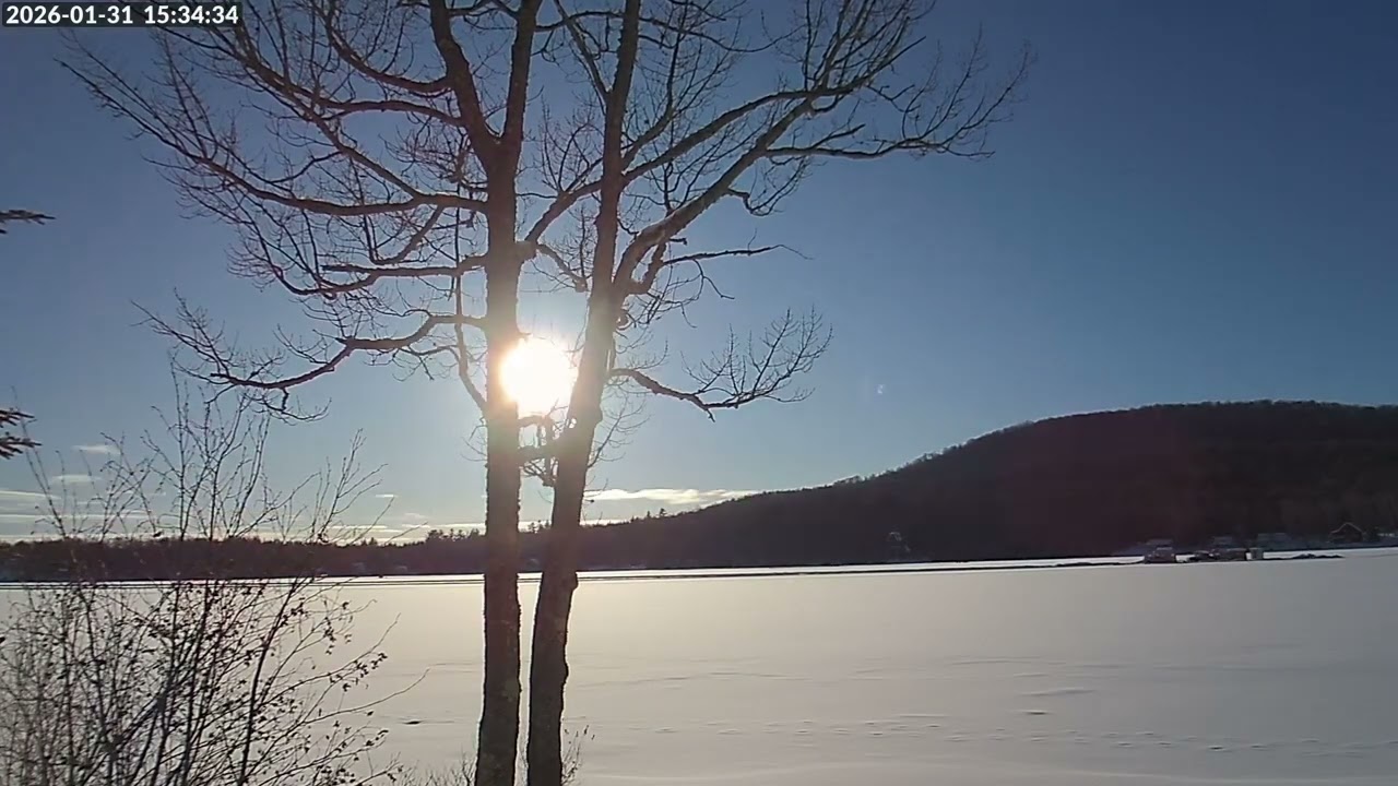 2026-01-31 Neal Pond