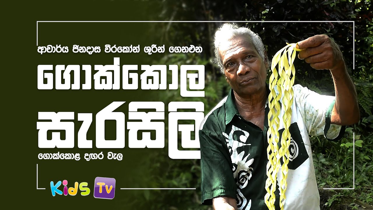 ගොක්කොල සැරසිලි 01 ගොක්කොල දඟර වැල - EP 01 Gokkola Mosthara