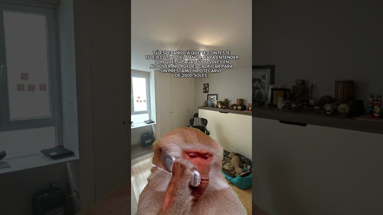 &iquest;No sabes por qu&eacute; no calificas para el pr&eacute;stamo? Mira la descripci&oacute;n 👇🏬 #asesorinmobiliario #humor