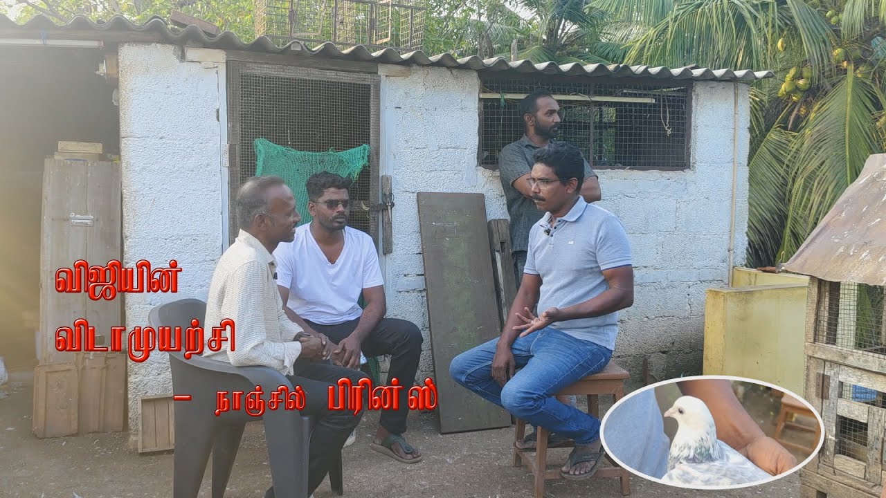 Mr.Viji Avargaludan Nanjil Prince - Prince Pigeon World