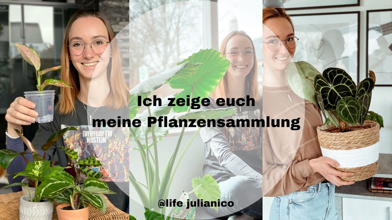 Ich zeige Euch meine Pflanzensammlung · Pflanzen