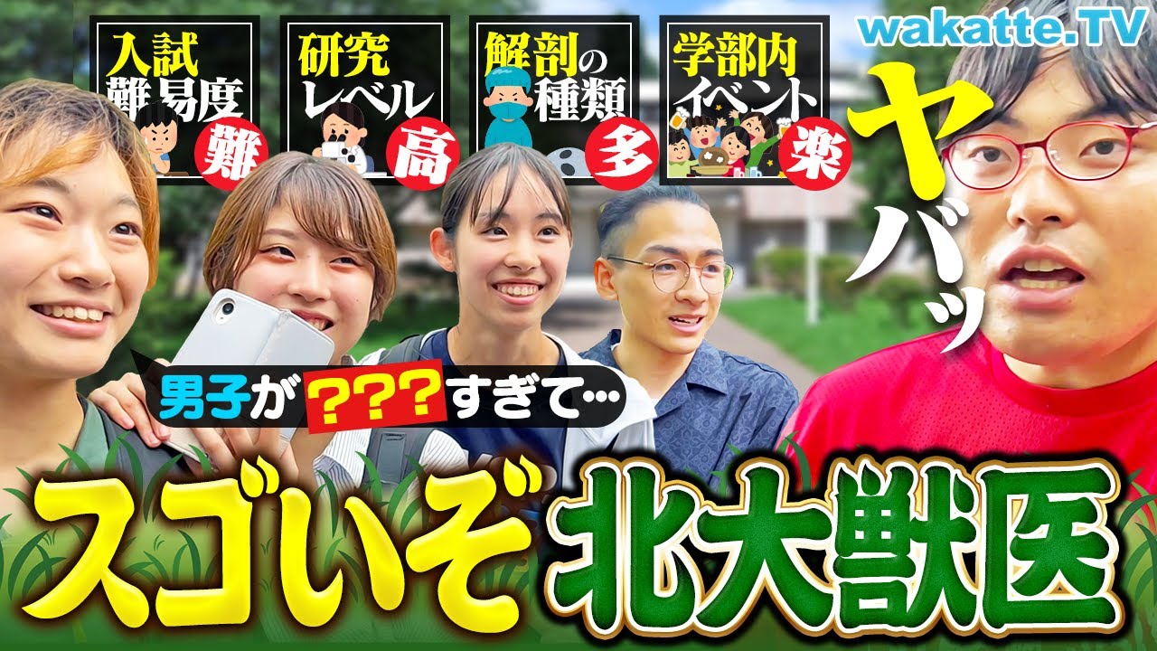 【医学部より難関!?】北大獣医学部の偏差値＆倍率がエグい！北海道ならではの豪快すぎる授業とは？【キャンパス調査】【wakatte TV】#1285