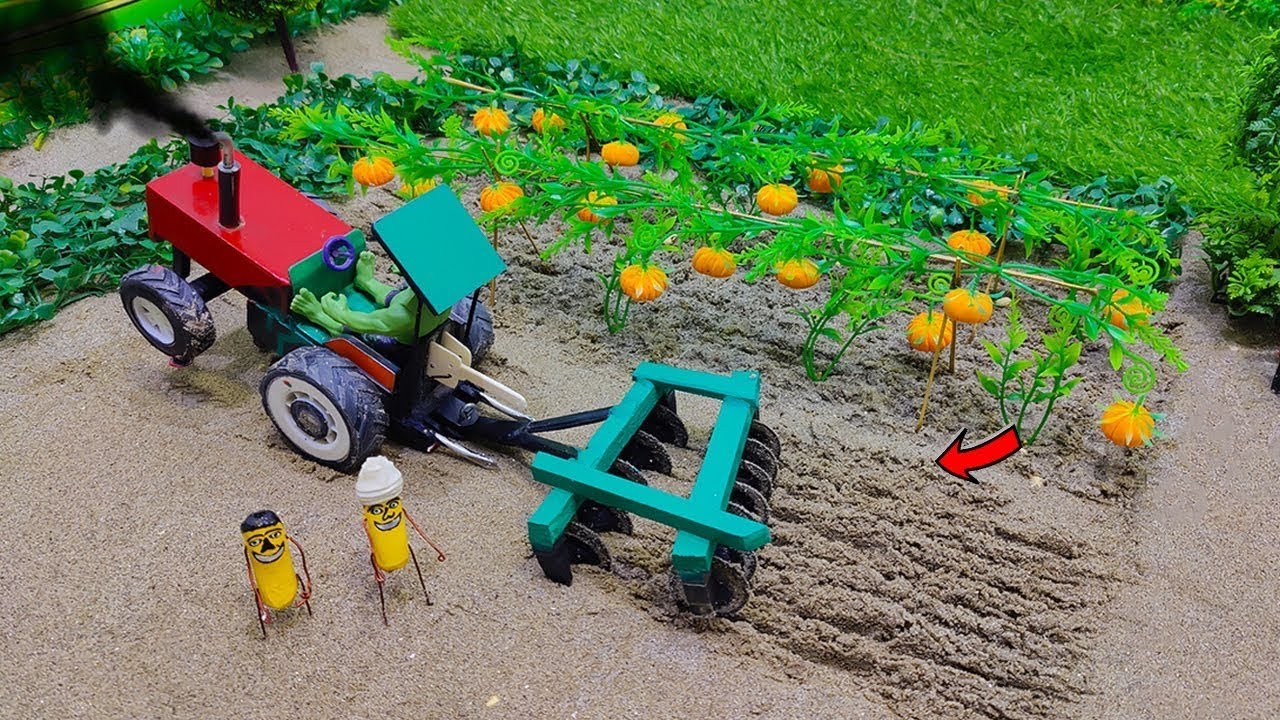 Top diy mini melon farming @Villagediyfarming10 