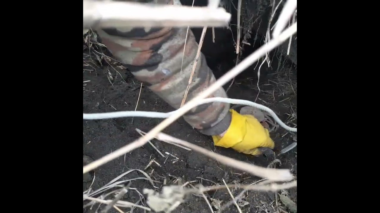 Проверка  капканов. Добавляем ещё.