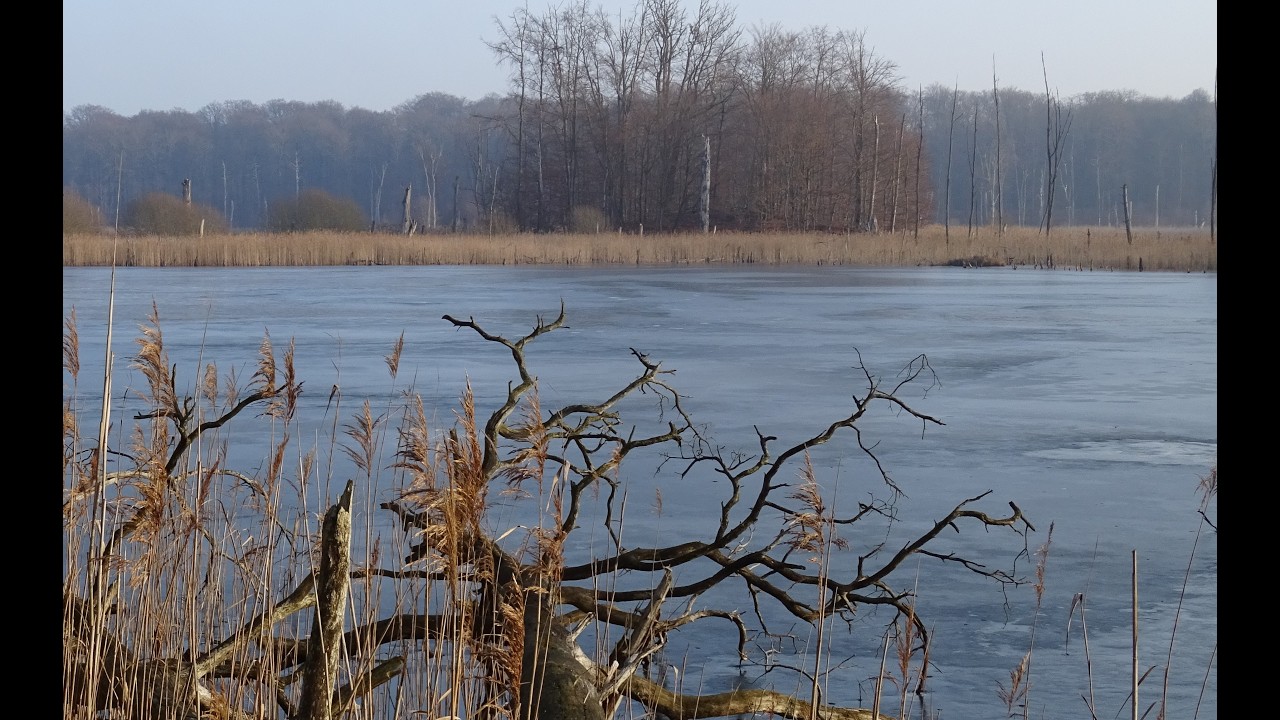 SCHÖN kalt