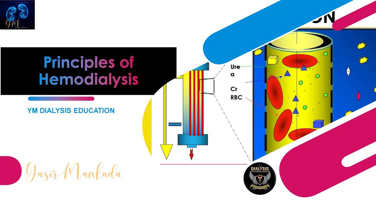 How Dialysis Works: Principles Of Hemodialysis