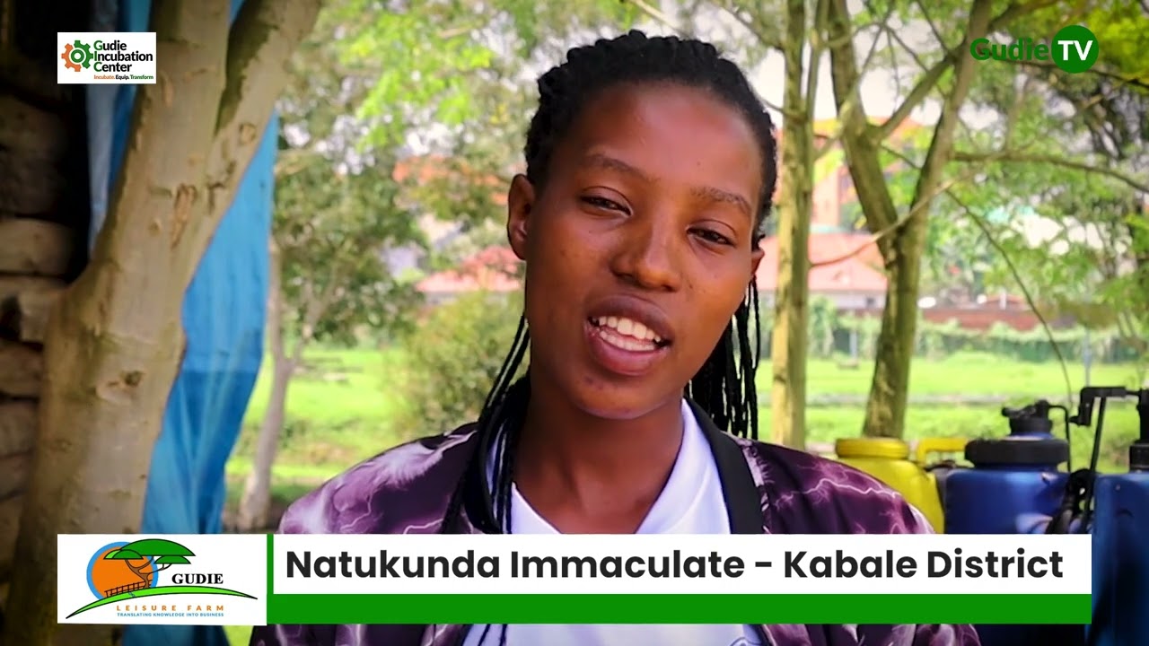 Things that you need to know before planting Maize. - Natukunda Immaculate from Kabale