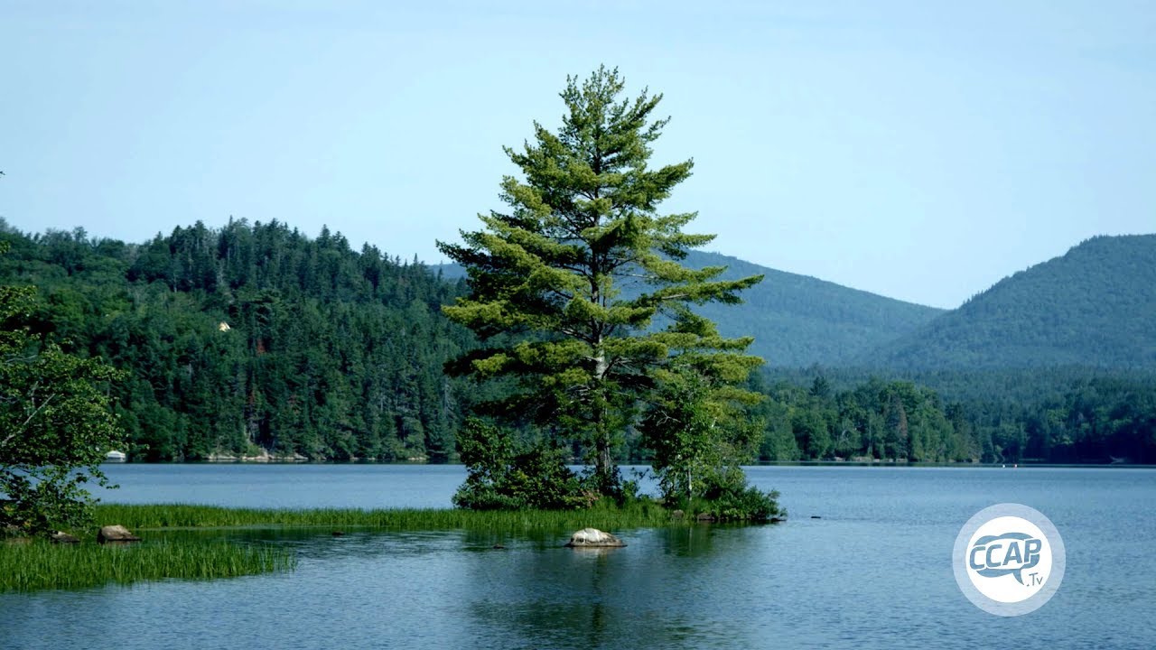 Le lac Saint-Charles | EAUtrement