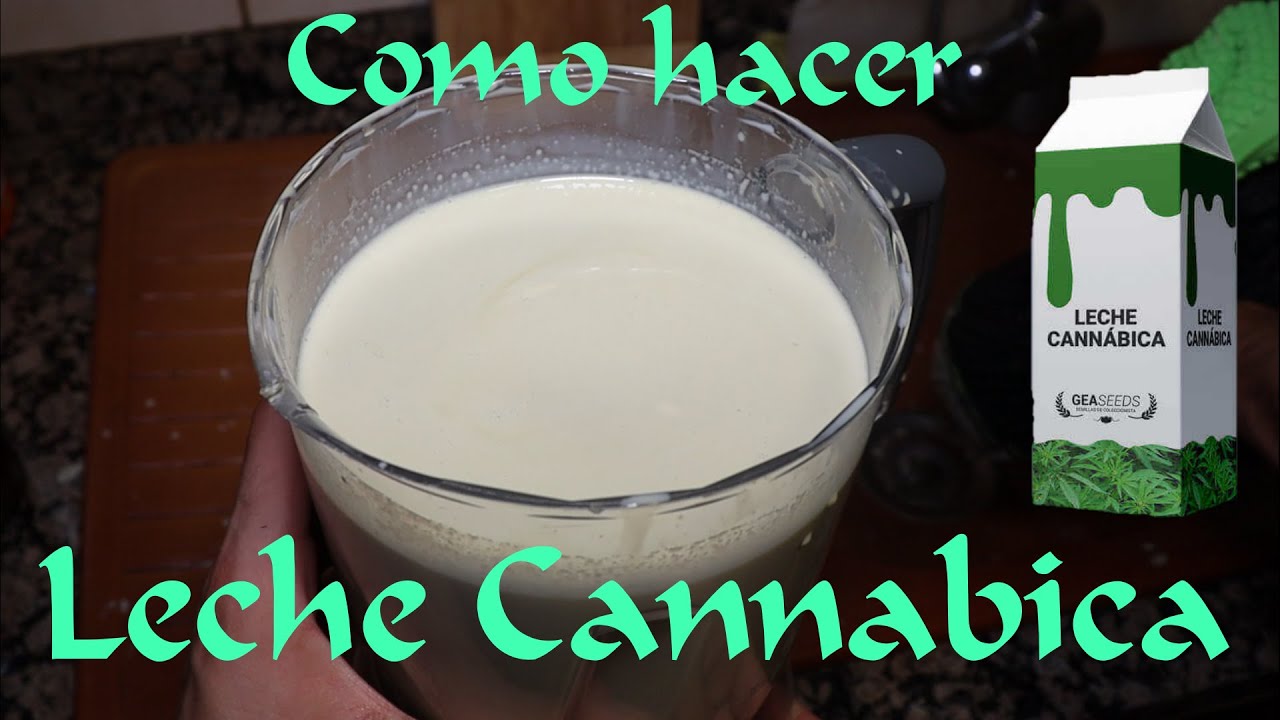 Leche Marihuana (Con 110G De MAGIA) / COCINA CANNABICA