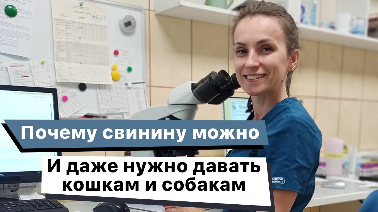 Почему свинину можно (и даже нужно) давать кошкам и собакам