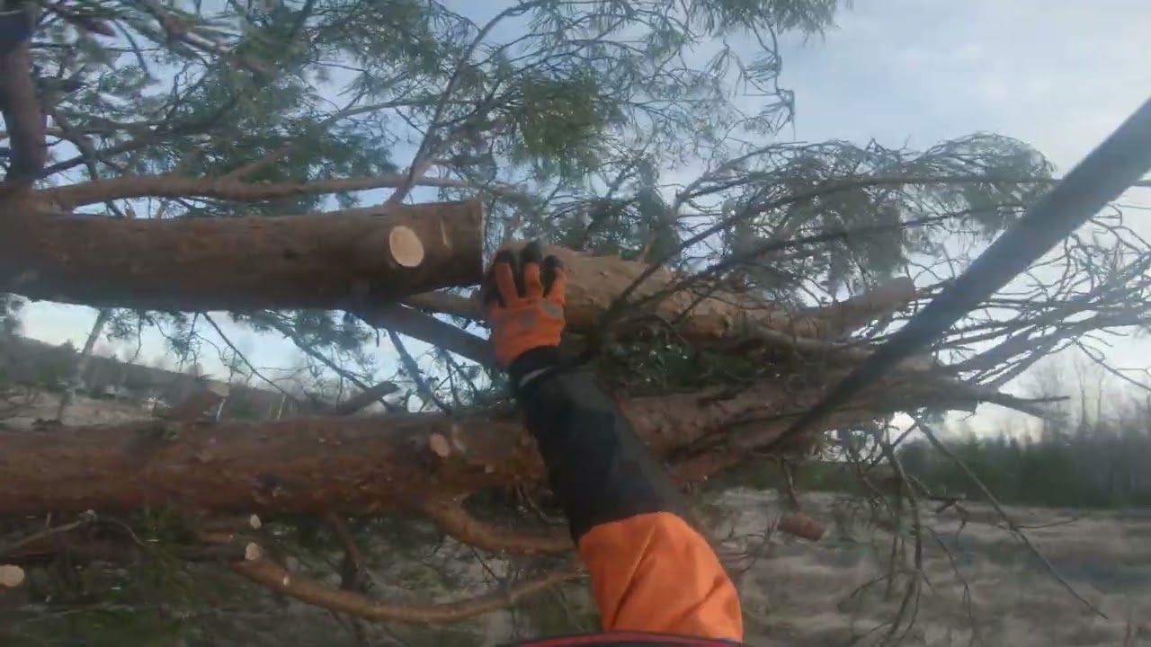 Stormen Johannes innan Anna kom på besök! Nya Husqvarna 564 XPG Fuel Inject!
