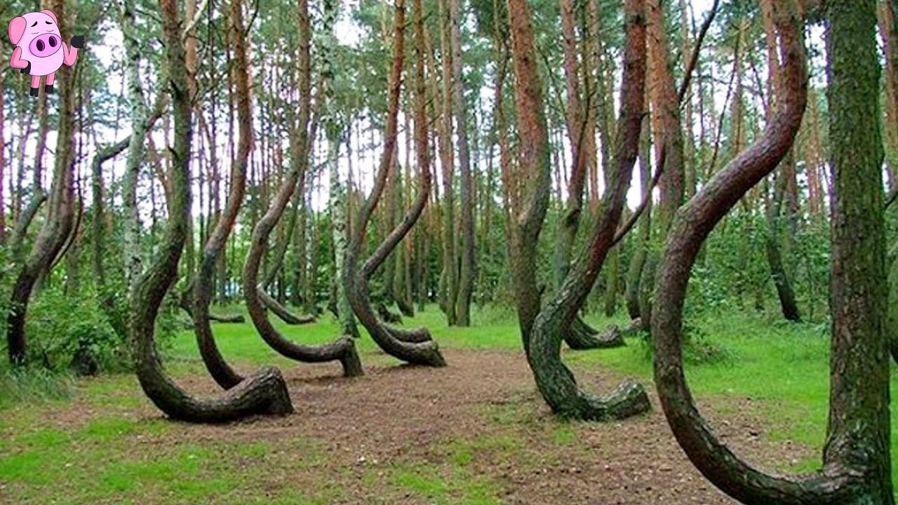 5 Cursed Destinations You Should Never Visit