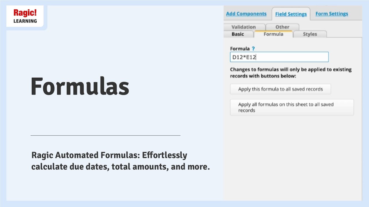 17. Formulas in Ragic
