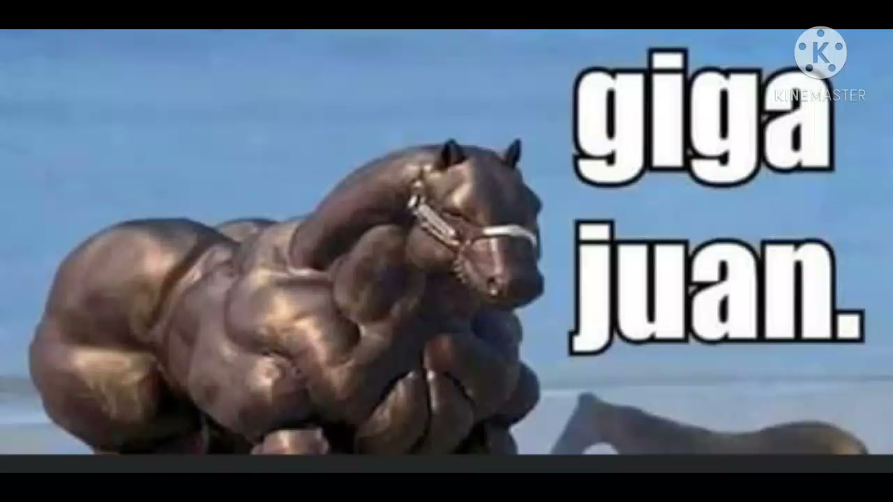 tipos de Juan