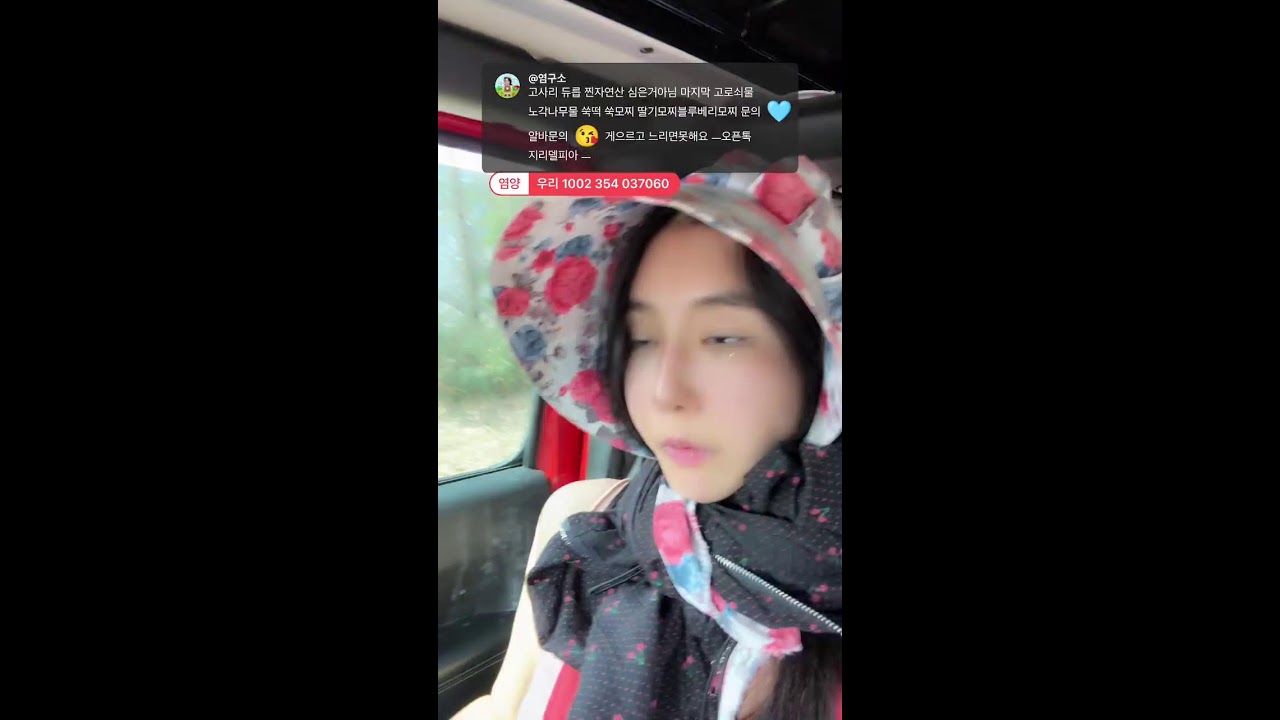 지리산고지대 모솔농부 일상  자연산 고사리두릅 토종벌