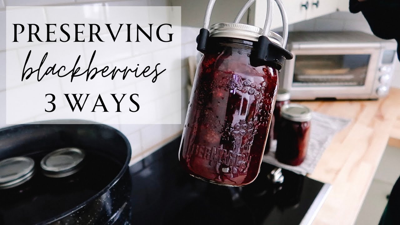 Preserving Blackberries 3 Ways | Pie Filling, Lemonade Concentrate & Shrub | Canning Recipes