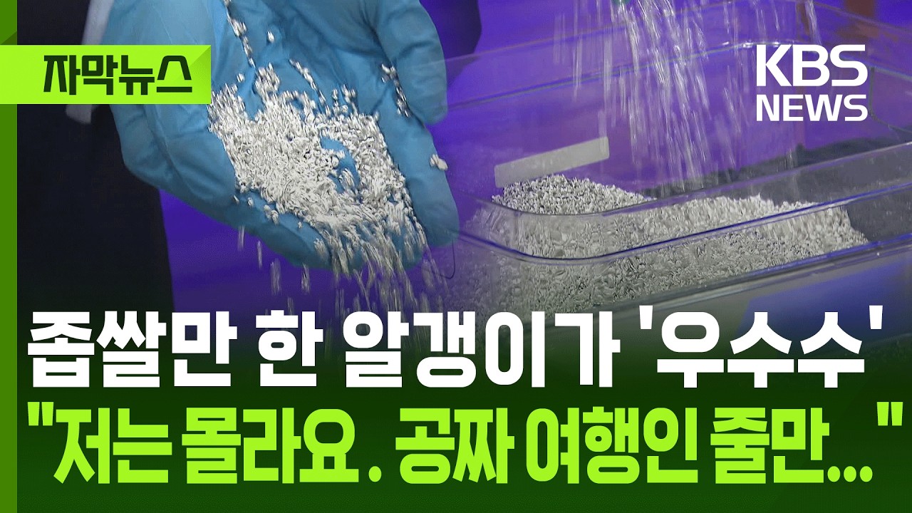 [자막뉴스] 좁쌀만 한 알갱이가 '우수수', 