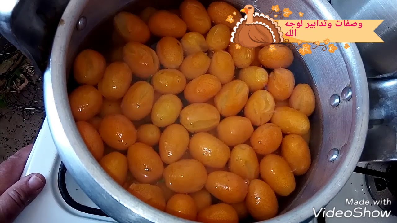 مربي التشوينة( البرتقال) هايل مع وصفات وتدابير لوجه الله