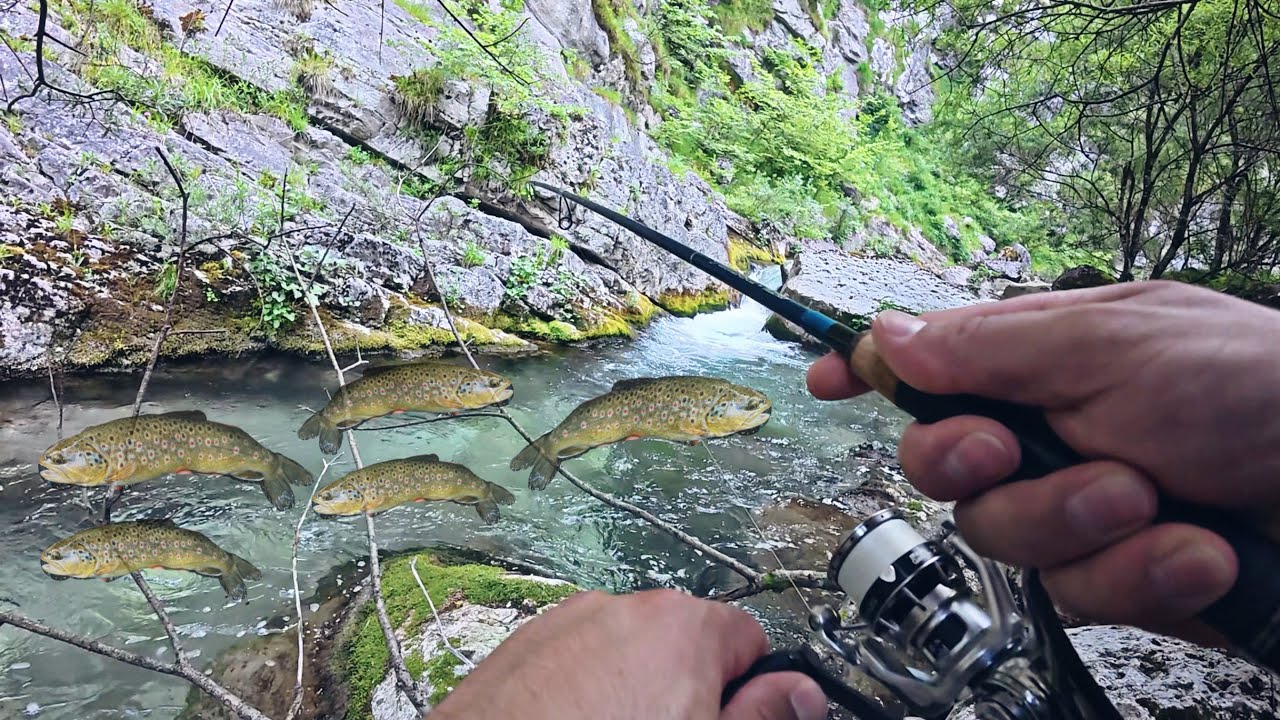 🎣 Am pescuit la păstrăv într-un colț de rai 🎣 Pescuit la pastrav cu gume si rotative 🎣