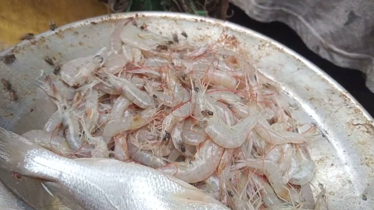 FRESH SEA FOOD SPECIAL RAMOOS AND JHEENGA AND FRESH BOE MARKETING ON RAINING DAY