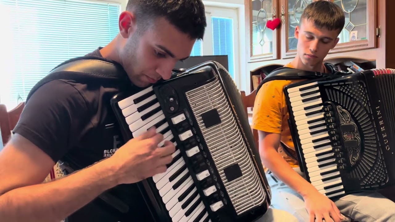 OVAKO IZGLEDA CAS U SKOLI HARMONIKE ZELJKO MUZAK