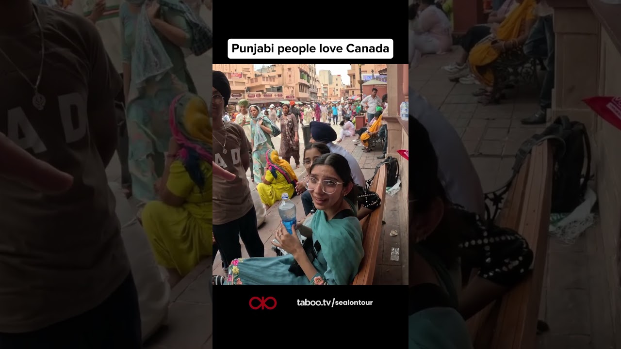 Пенджабцы обожают Канаду 🇨🇦 #tabootv #вирусное #индия @sealontour
