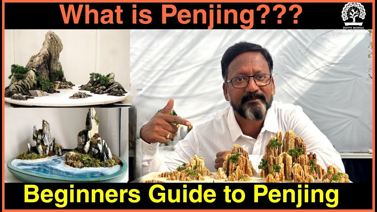 Beginners Guide to Penjing Perfection || Part 1