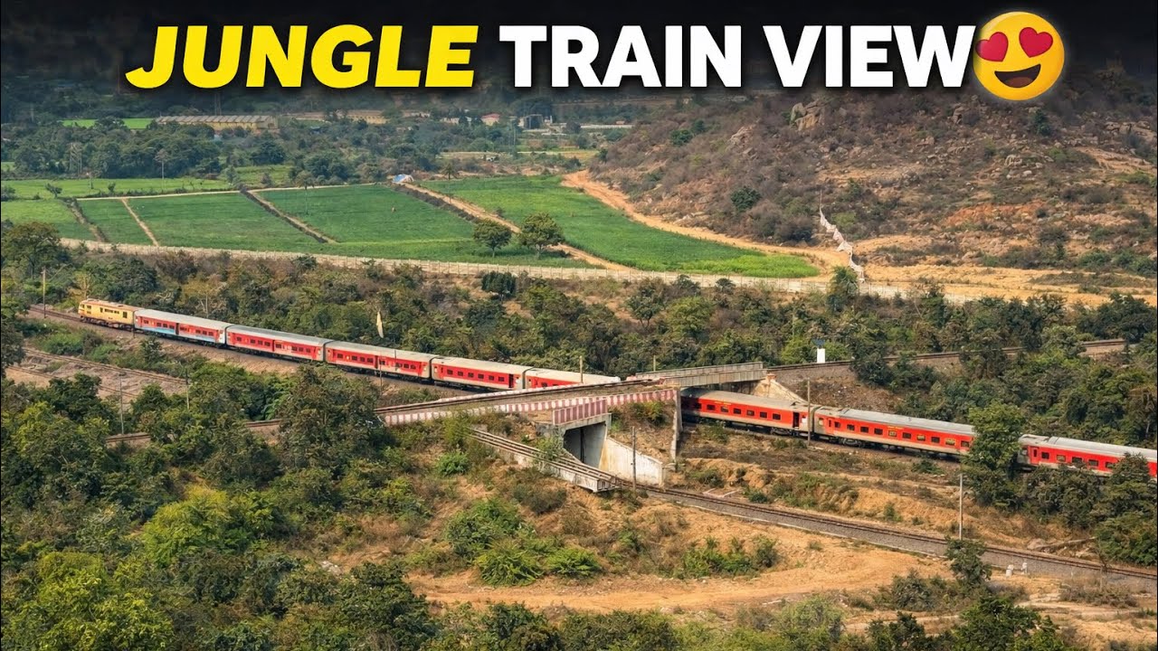Indian train jungle se nikalti hai| Pure Railway Aesthetic | #train #railway #indianrailways 