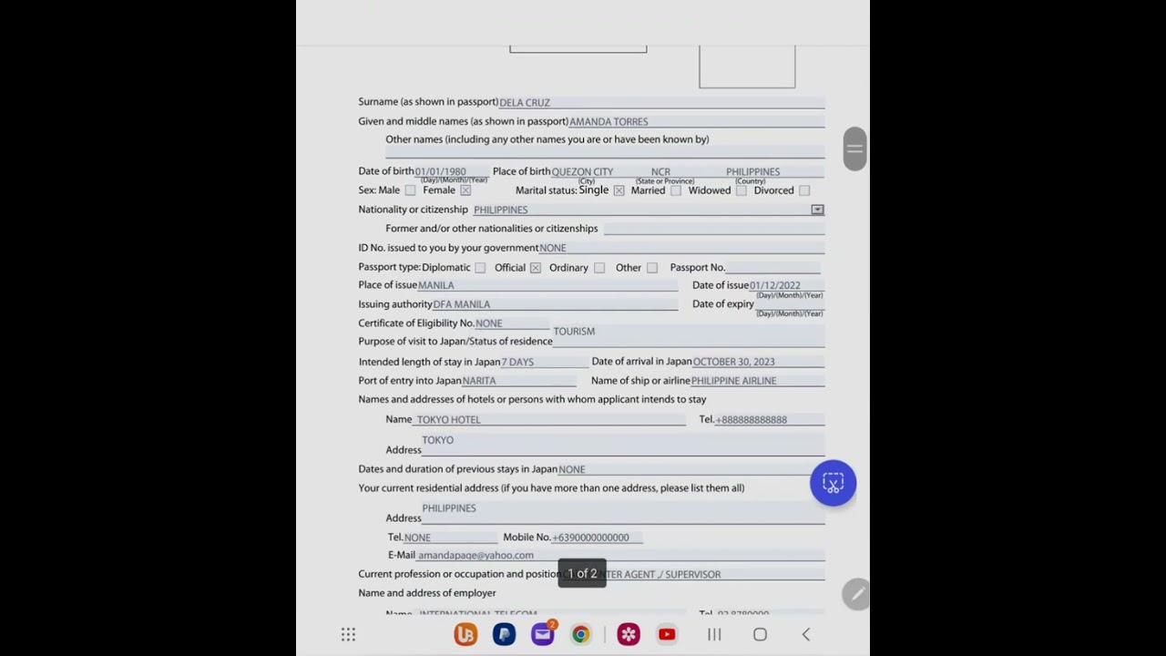 How to fill up Visa Application Form | JAPAN Embassy Application
