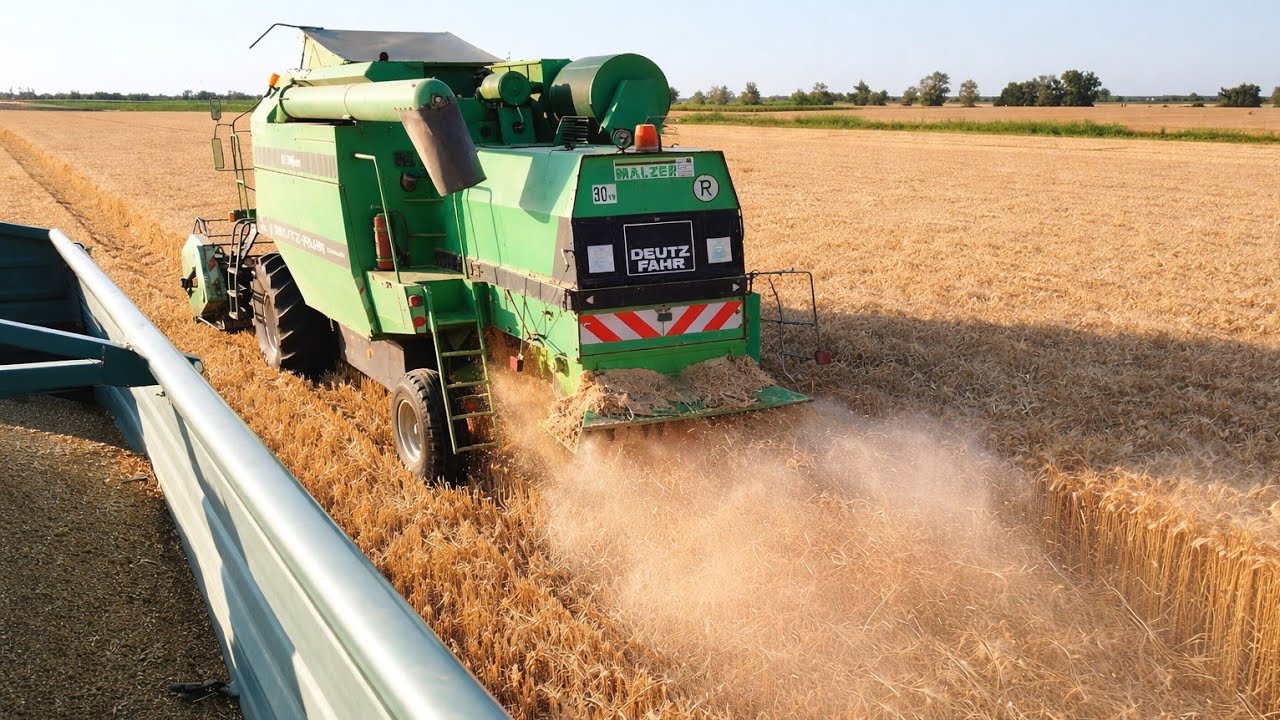 Deutz Fahr M35.80 HTS | Wheat Harvesting | Žetva Pšenice