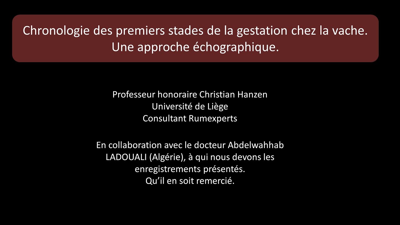 L' embryon et le foetus bovin : images échographiques