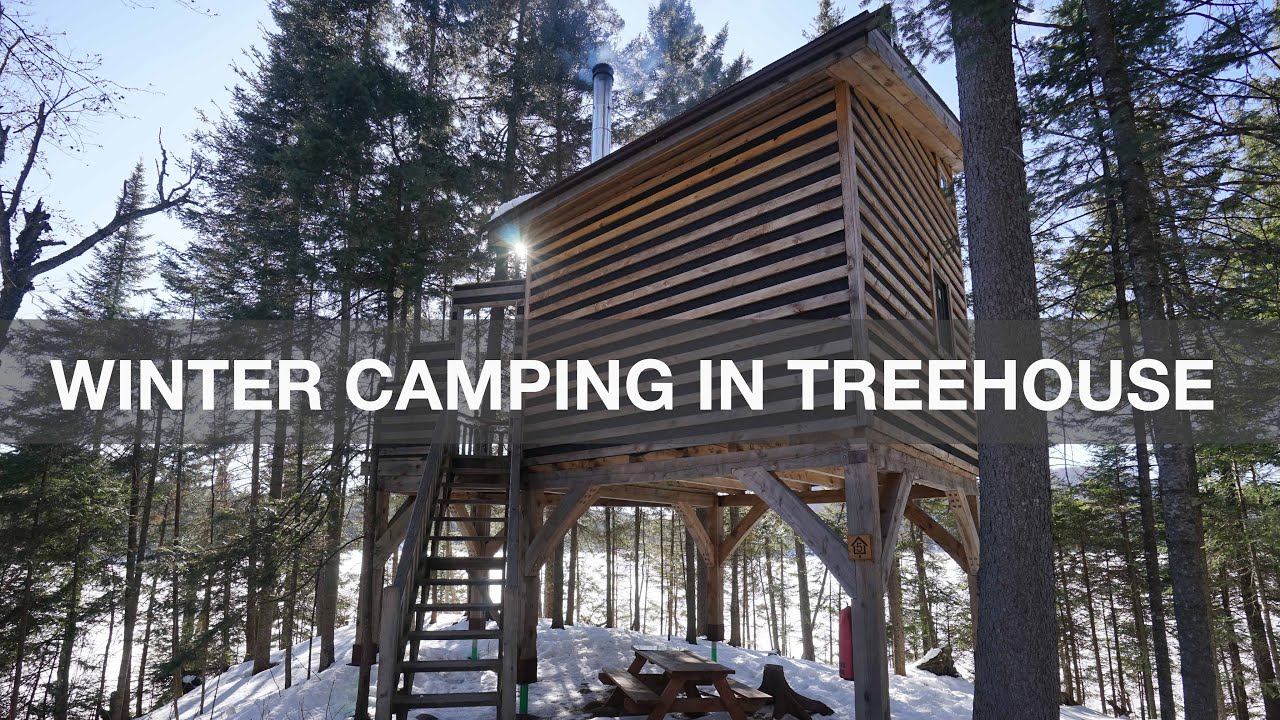 Toy dogs go winter camping in a TREEHOUSE 캐나다 겨울 나무집 캠핑