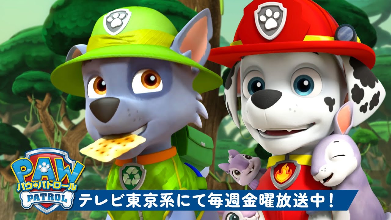 パウ・パトロール | パウ・パトロール：わくわく自然レスキュー特集！🐵 | 120分 | テレビ東京系にて放送中