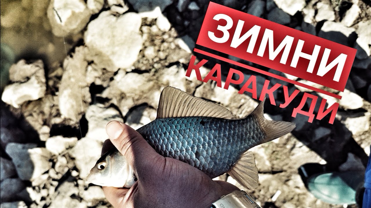 Зимни каракуди на микроязовир