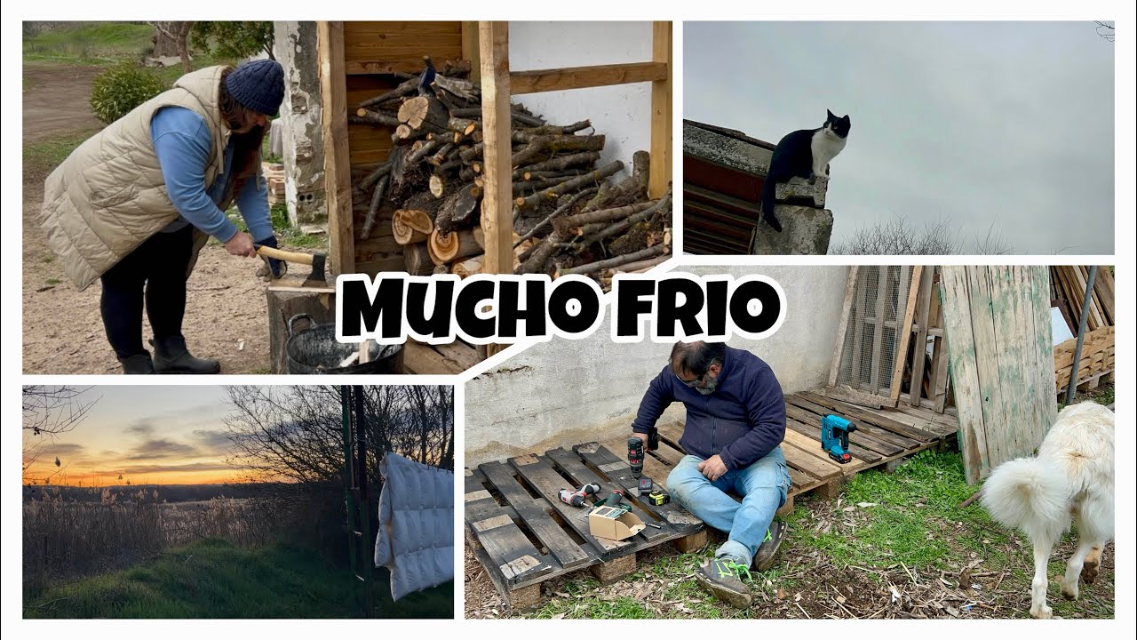 #211 🏡 Gran cambio para los PATOS 🦆 /Así son los días de invierno aquí 🥶/  Cabras traviesas 😈 