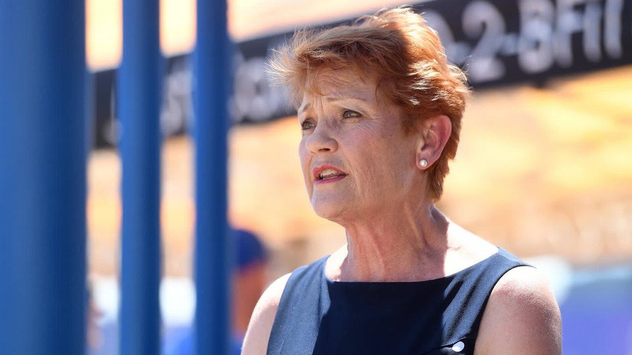 Pauline Hanson slams ‘fundamentalist’ Islam push in Australia under pro-Palestinian guise