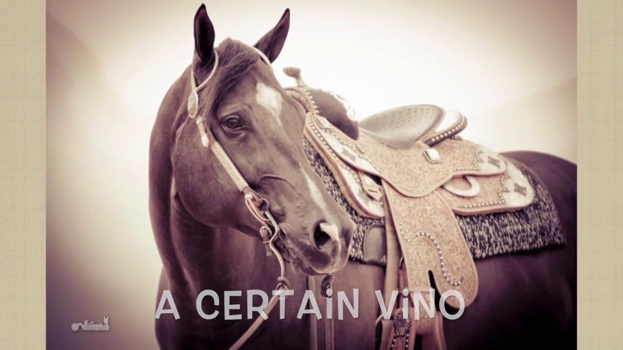 Equimark Shout Out: A Certain Vino