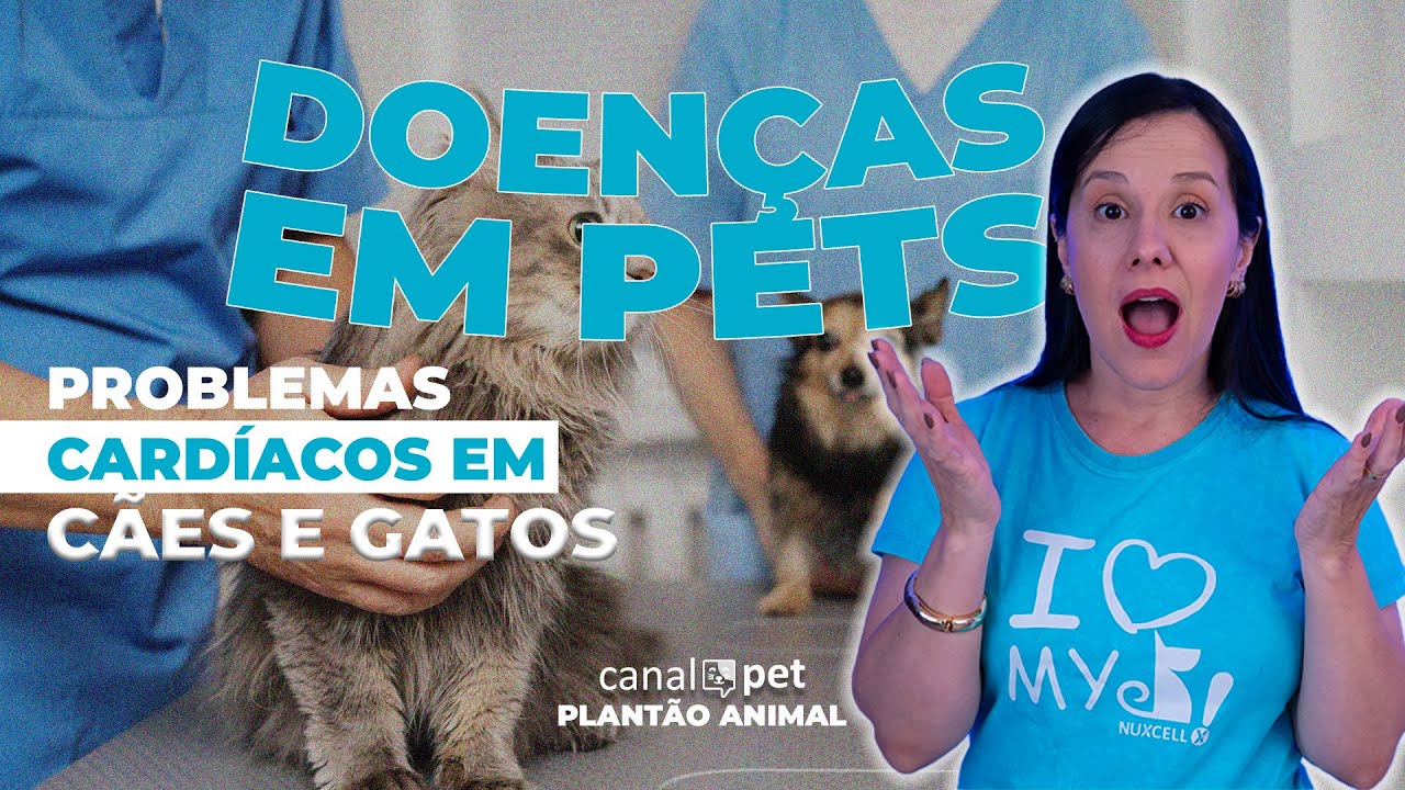 Sinais de problemas cardíacos em cães e gatos | NUXCELL