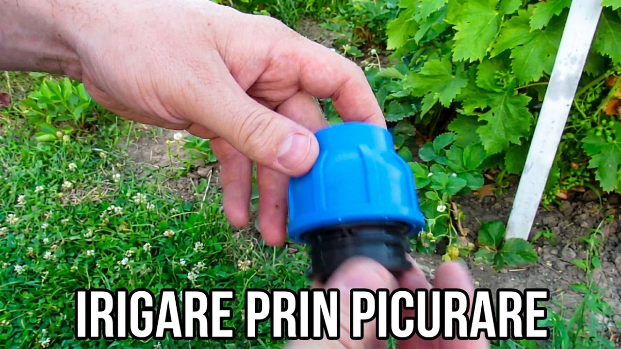 Instalatie de irigare cu picatura