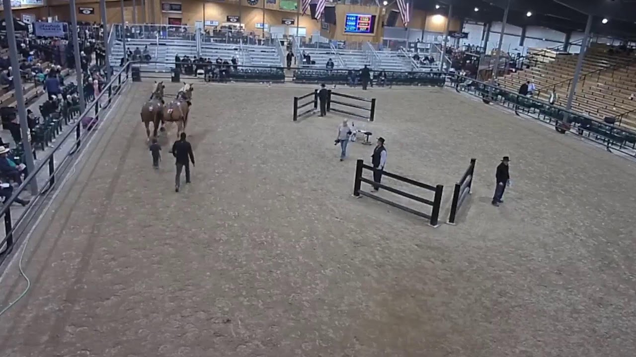 Topeka Livestock Auction Live Stream