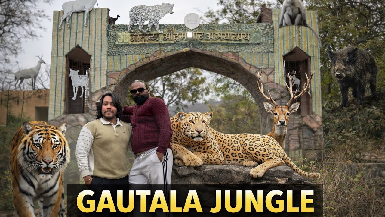 We are going to jungle with our own car and we visit a ellora caves 5000 years old 👌😱